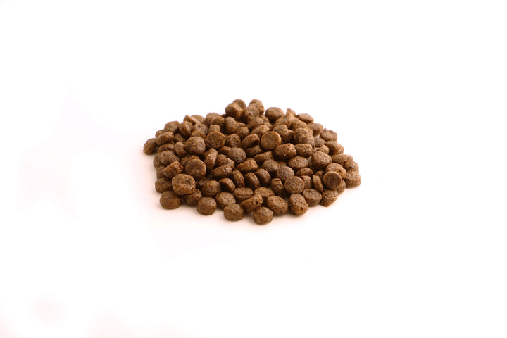 Fish4Dogs Finest White Fish Adult Small Kibble 12kg