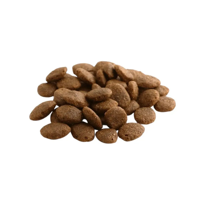 Fish4Dogs Finest Salmon Adult Large Kibble 6kg