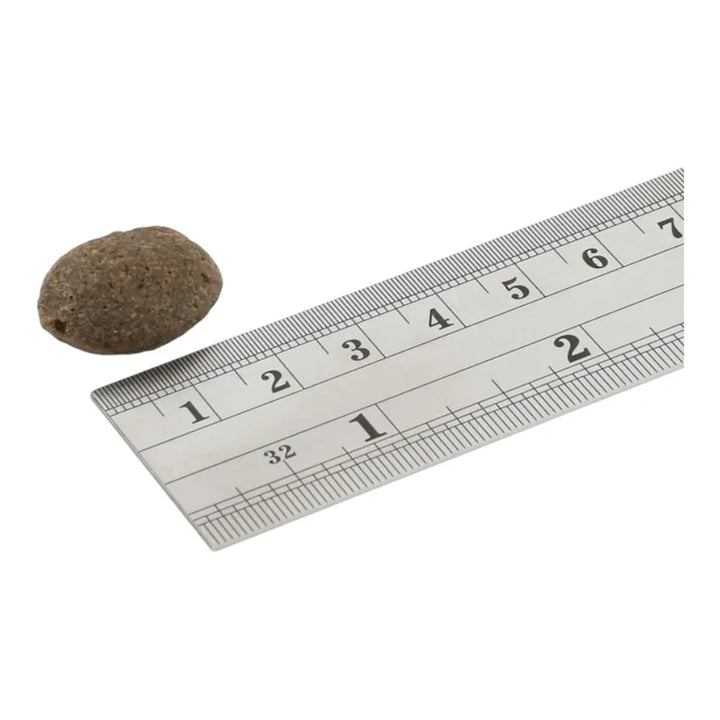 Fish4Dogs Finest Salmon Adult Large Kibble 6kg