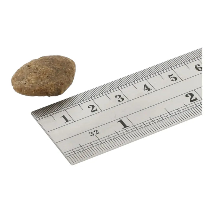 Fish4Dogs Finest White Fish Adult Large Kibble 12kg