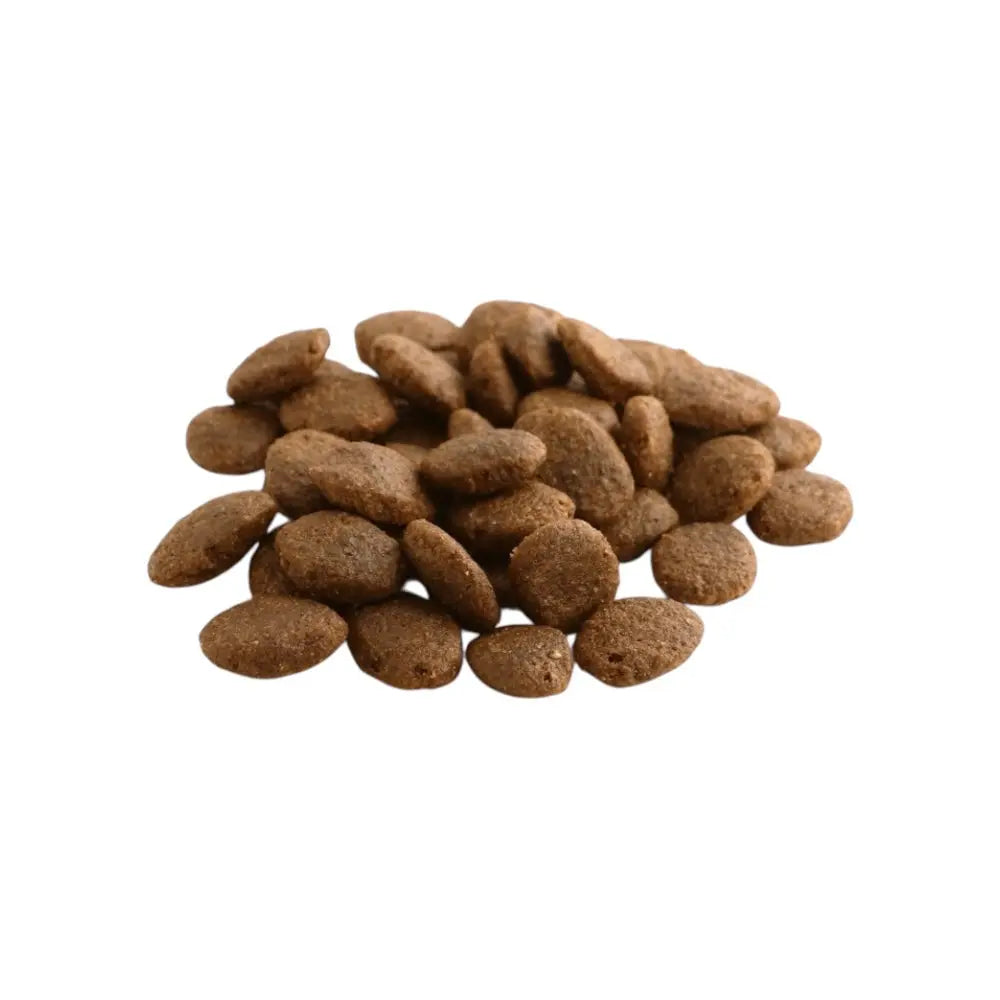 Fish4Dogs Finest Salmon Senior Large Kibble 6kg