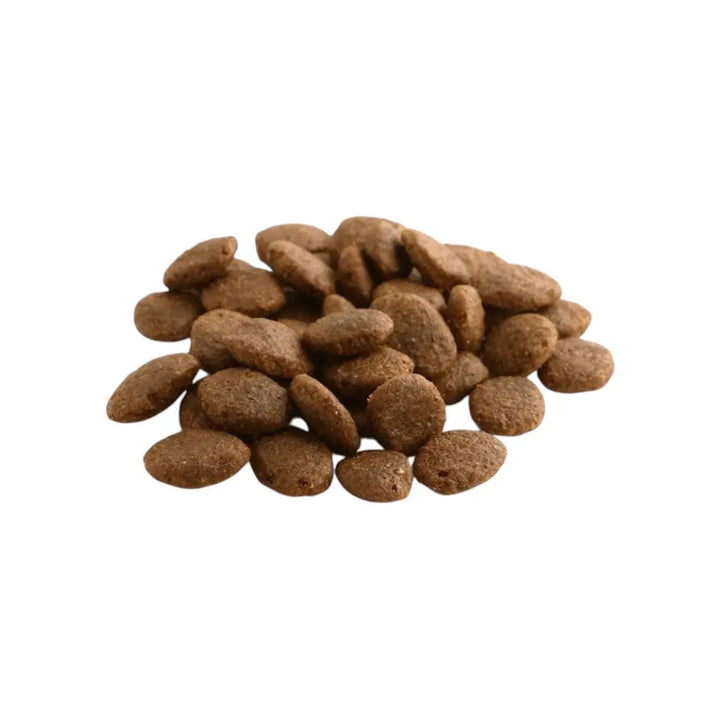 Fish4Dogs Finest Salmon Senior Large Kibble 6kg