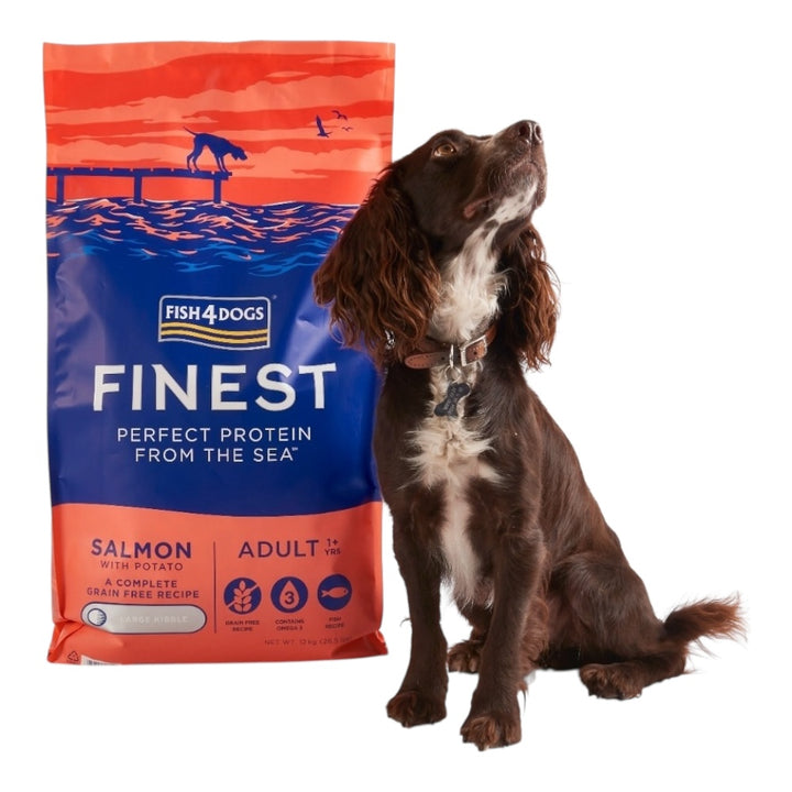 Fish4Dogs Finest Salmon Adult Large Kibble 12kg