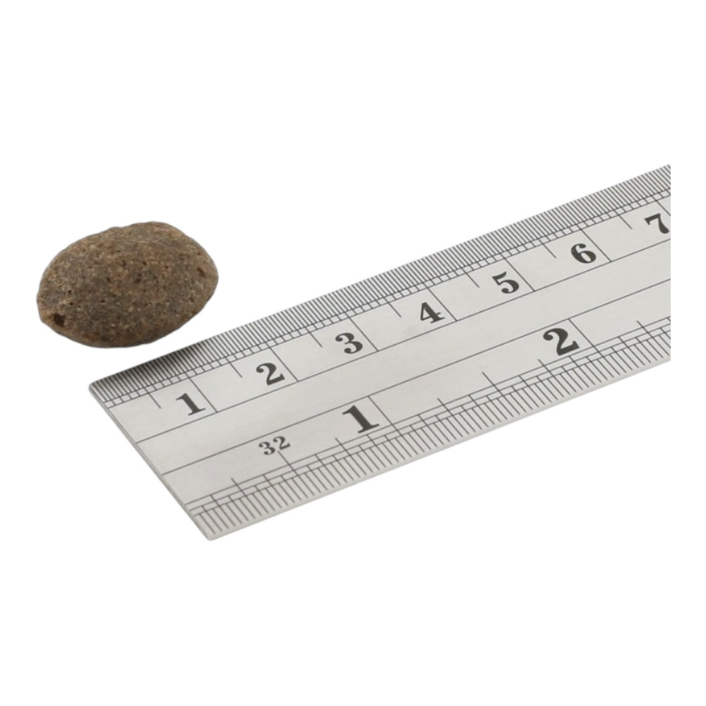 Fish4Dogs Finest Salmon Adult Large Kibble 12kg