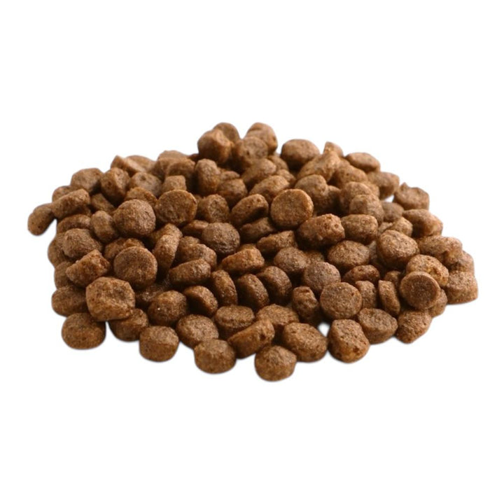 Fish4Dogs Finest Salmon Adult Small Kibble 12kg