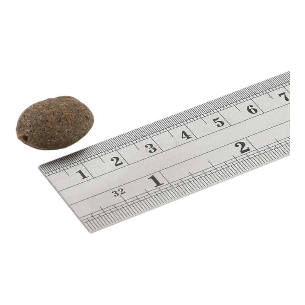 Fish4Dogs Finest Salmon Adult Large Kibble 1.5kg