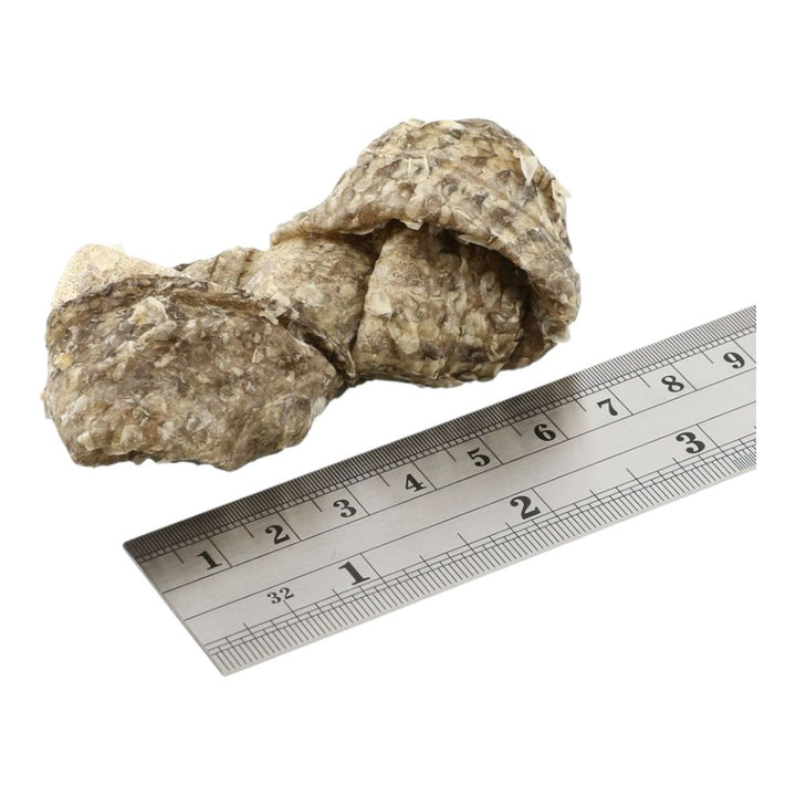 Fish4Dogs Sea Jerky Knots 10x100g