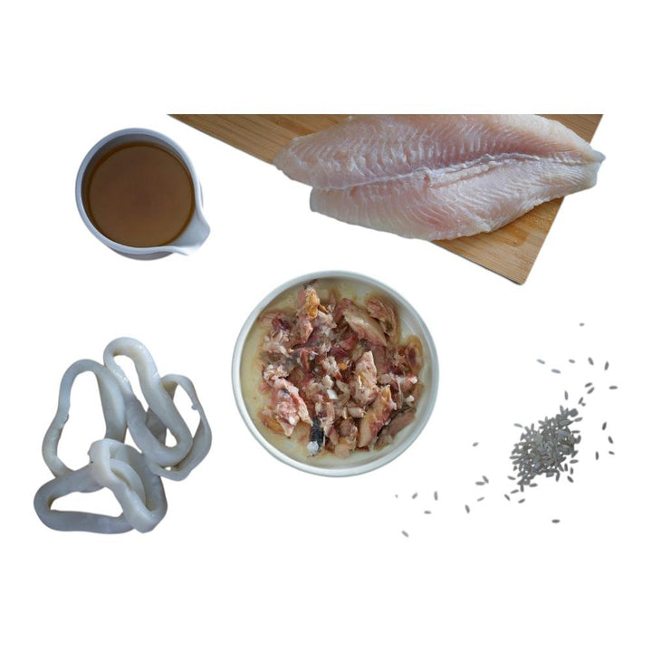 Fish4Cats® – Filetto pregiato di Tonno con acciughe 10x70g
