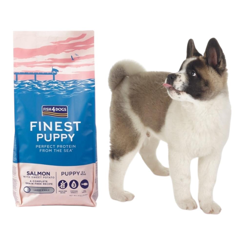 Fish4Dogs Finest Salmon Puppy Large Kibble 6kg